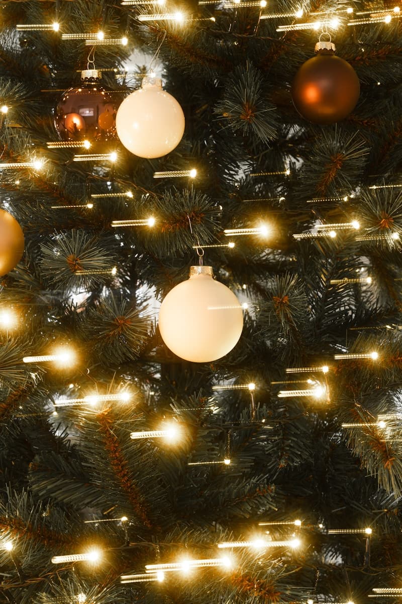 Christmas & New Year Opening Hours