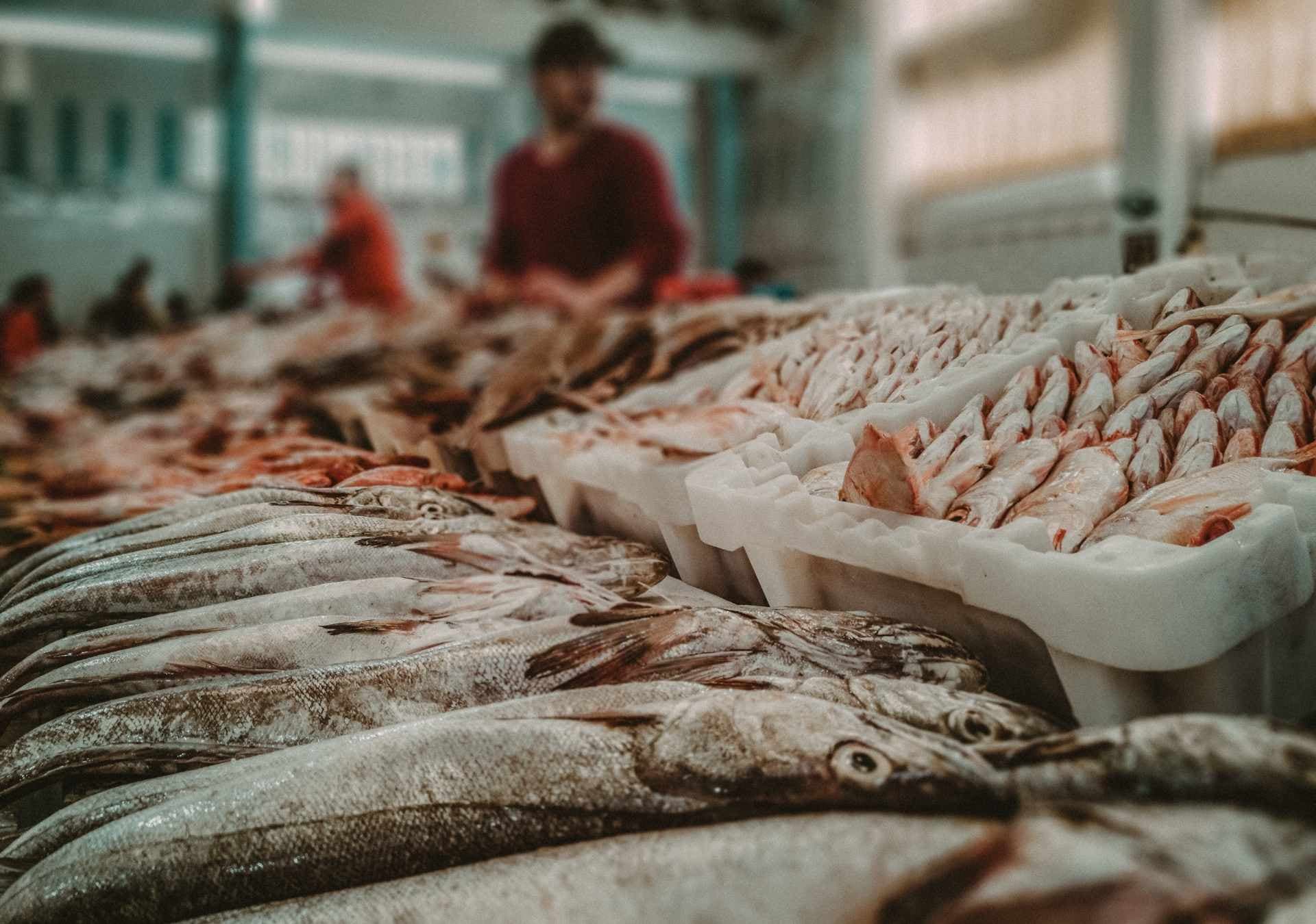 Local amenities in Hackney