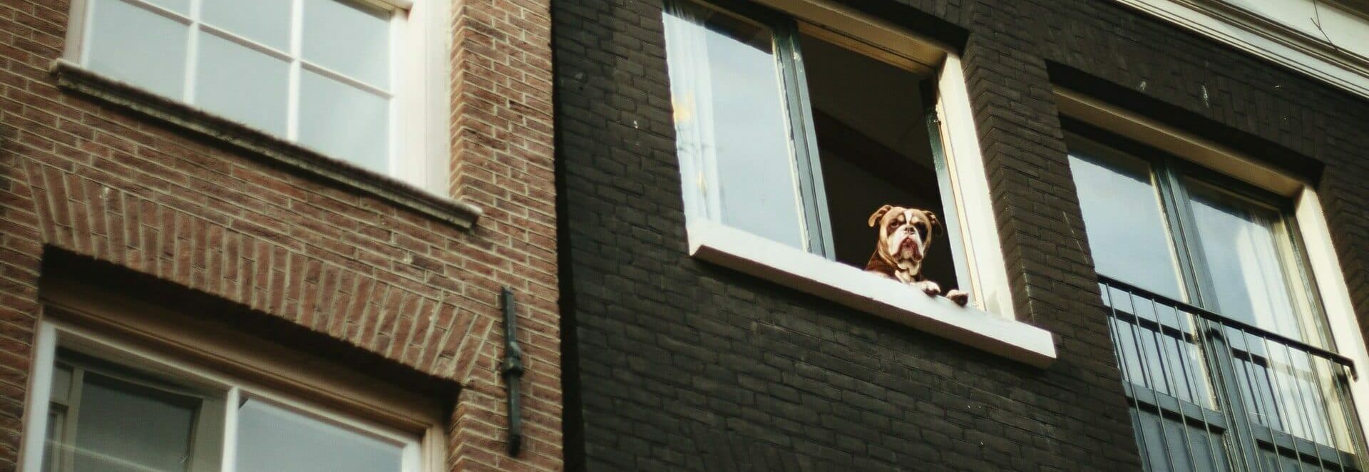 Renting in North London