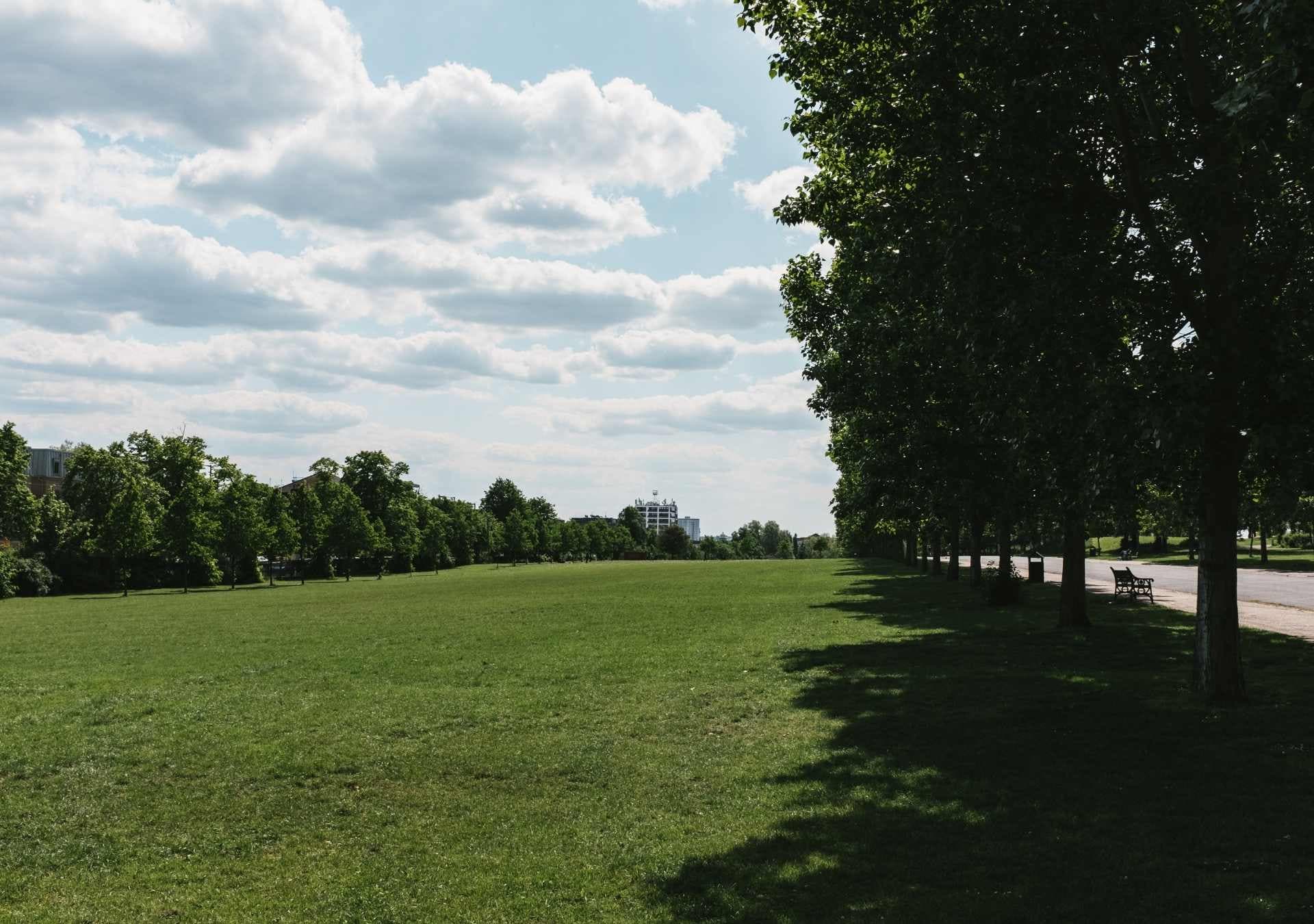 Green spaces