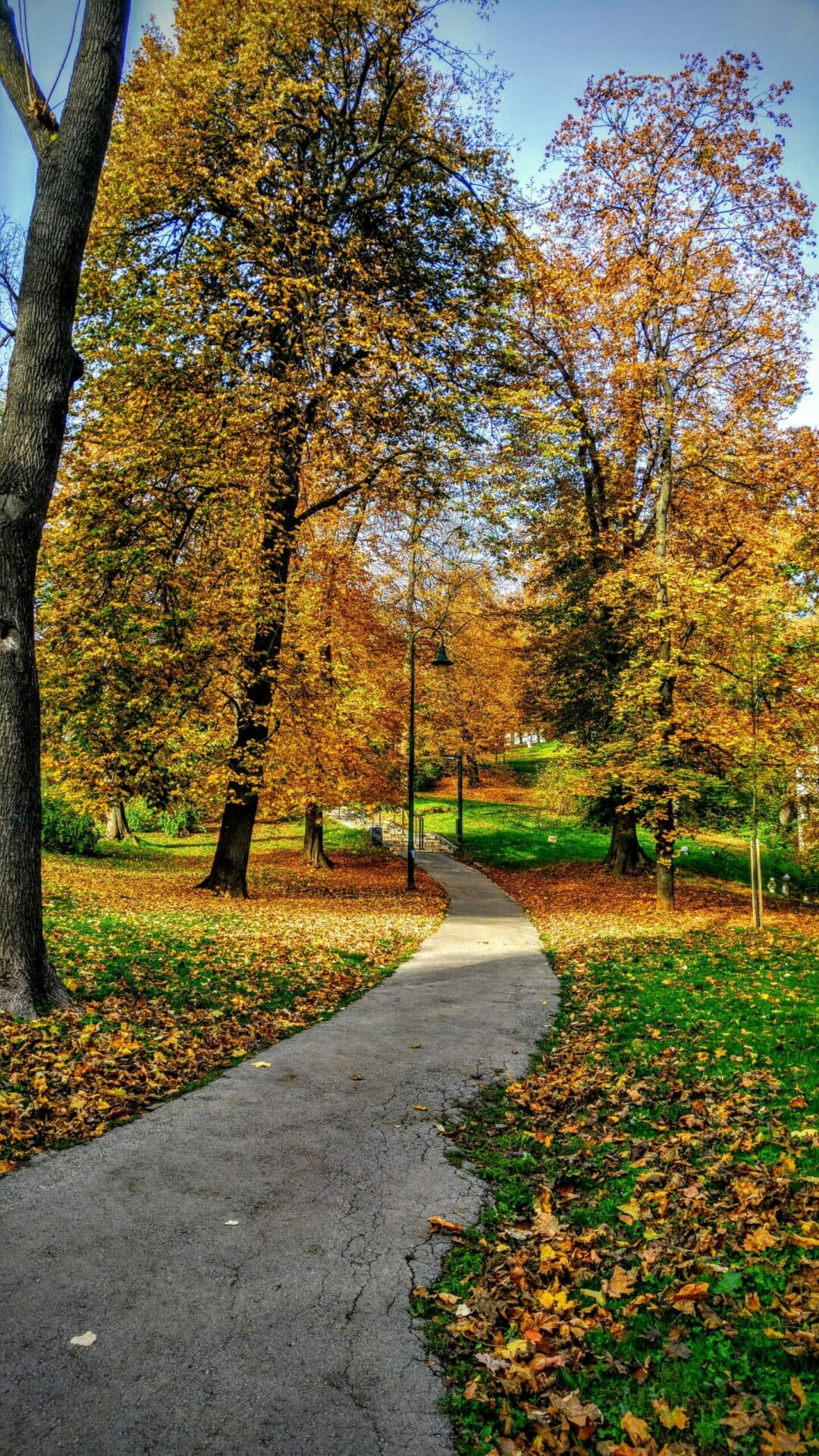 Green spaces