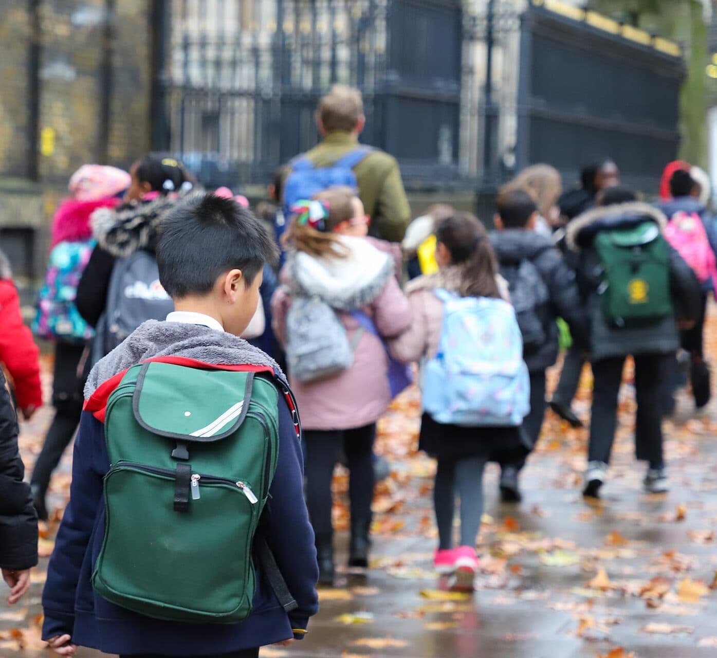 The schools of Stoke Newington