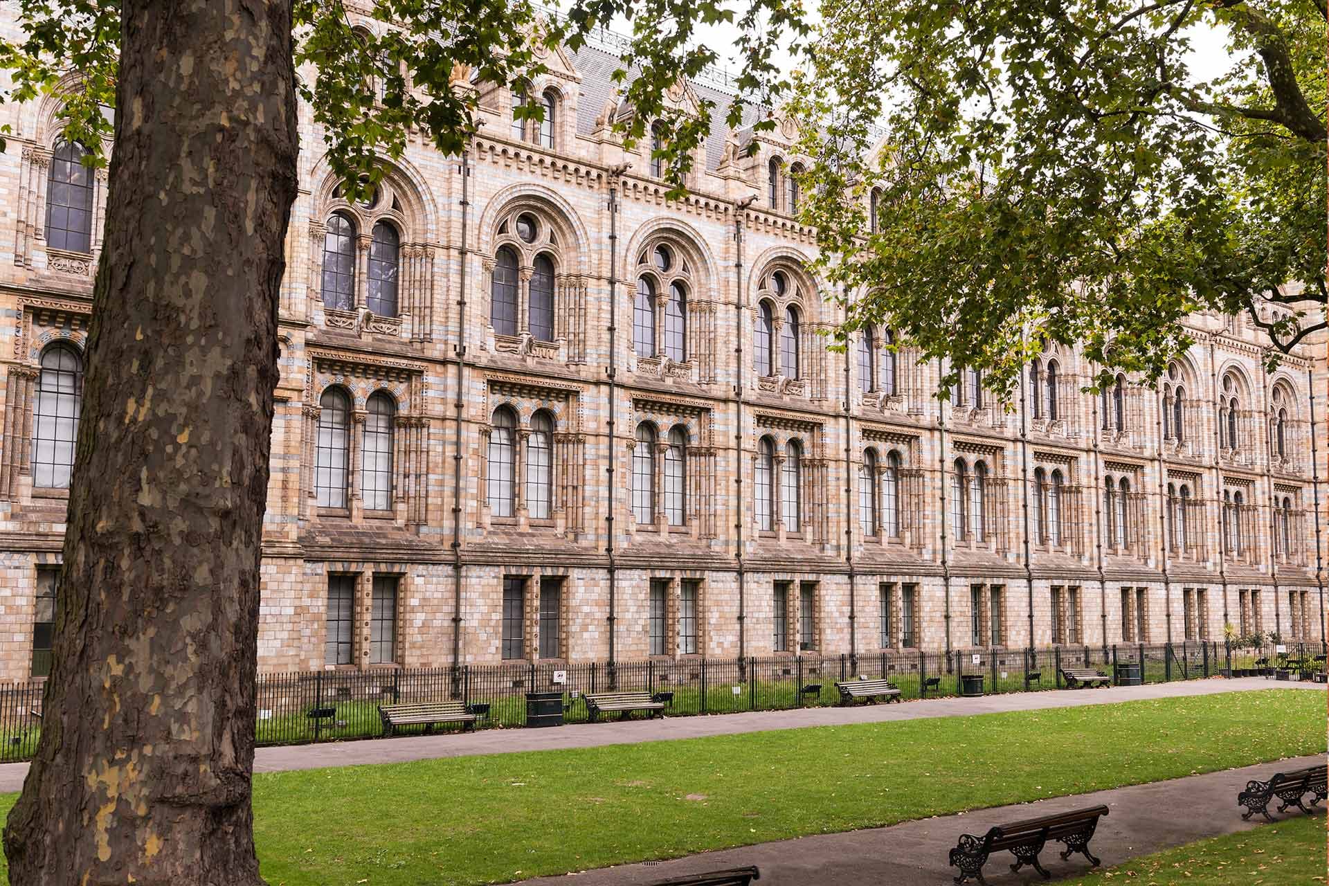 The schools of Finsbury Park